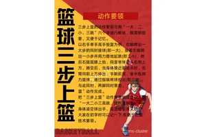  职业篮球运动员常用的理疗技巧：提升运动表现与康复效率的秘诀